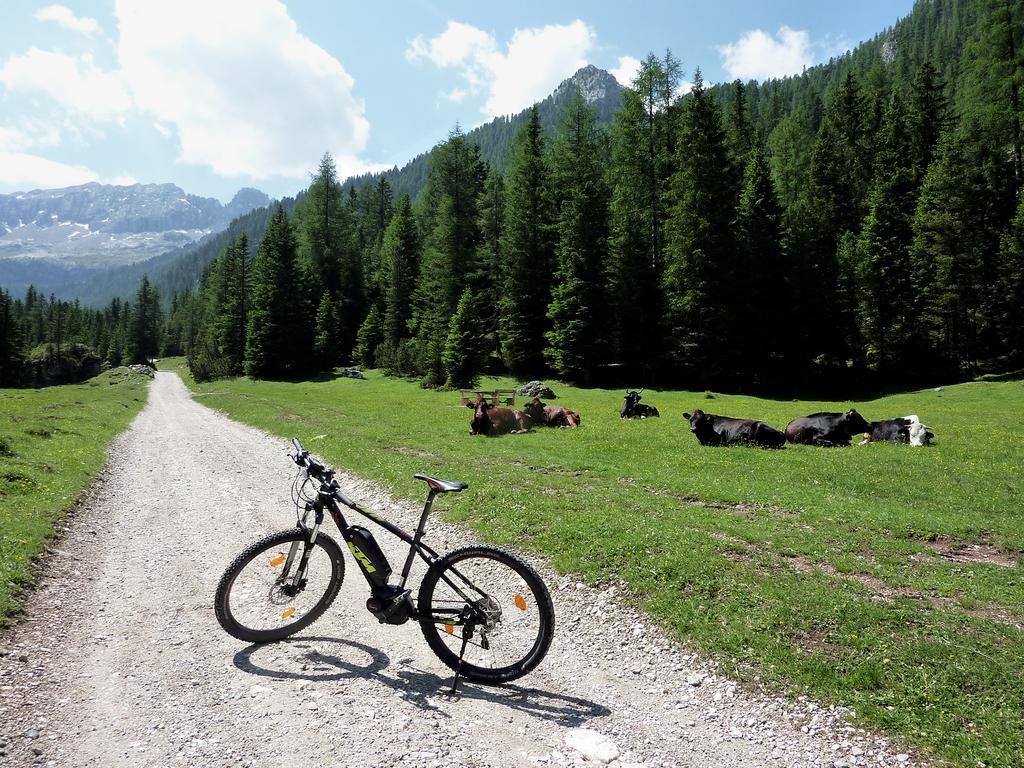 Appartamenti Majon Sotroi Campitello di Fassa Exteriér fotografie